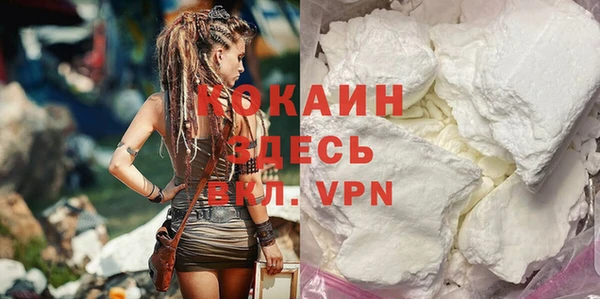 спайс Ладушкин