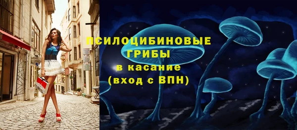 спайс Ладушкин