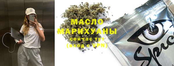 спайс Ладушкин
