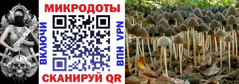 Галлюциногенные грибы прущие грибы  Купить закладки  Ардон 